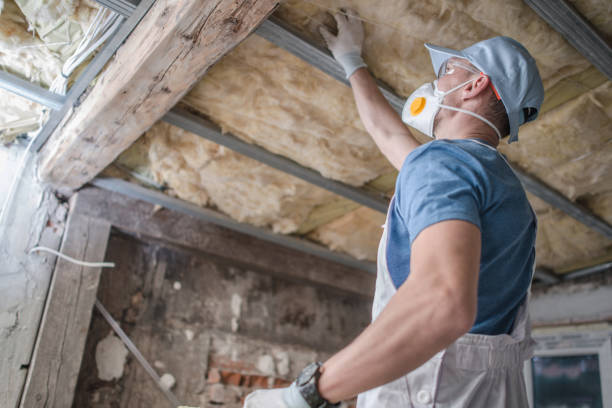 Rockdale, IL Insulation Contractor Company
