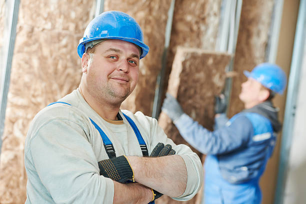 Best Residential Insulation in Rockdale, IL