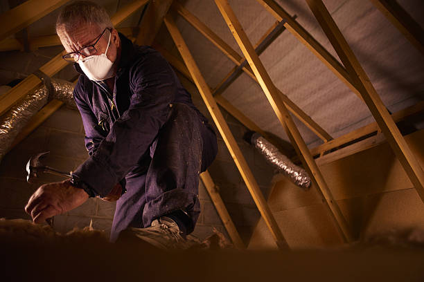 Best Cellulose Insulation in Rockdale, IL